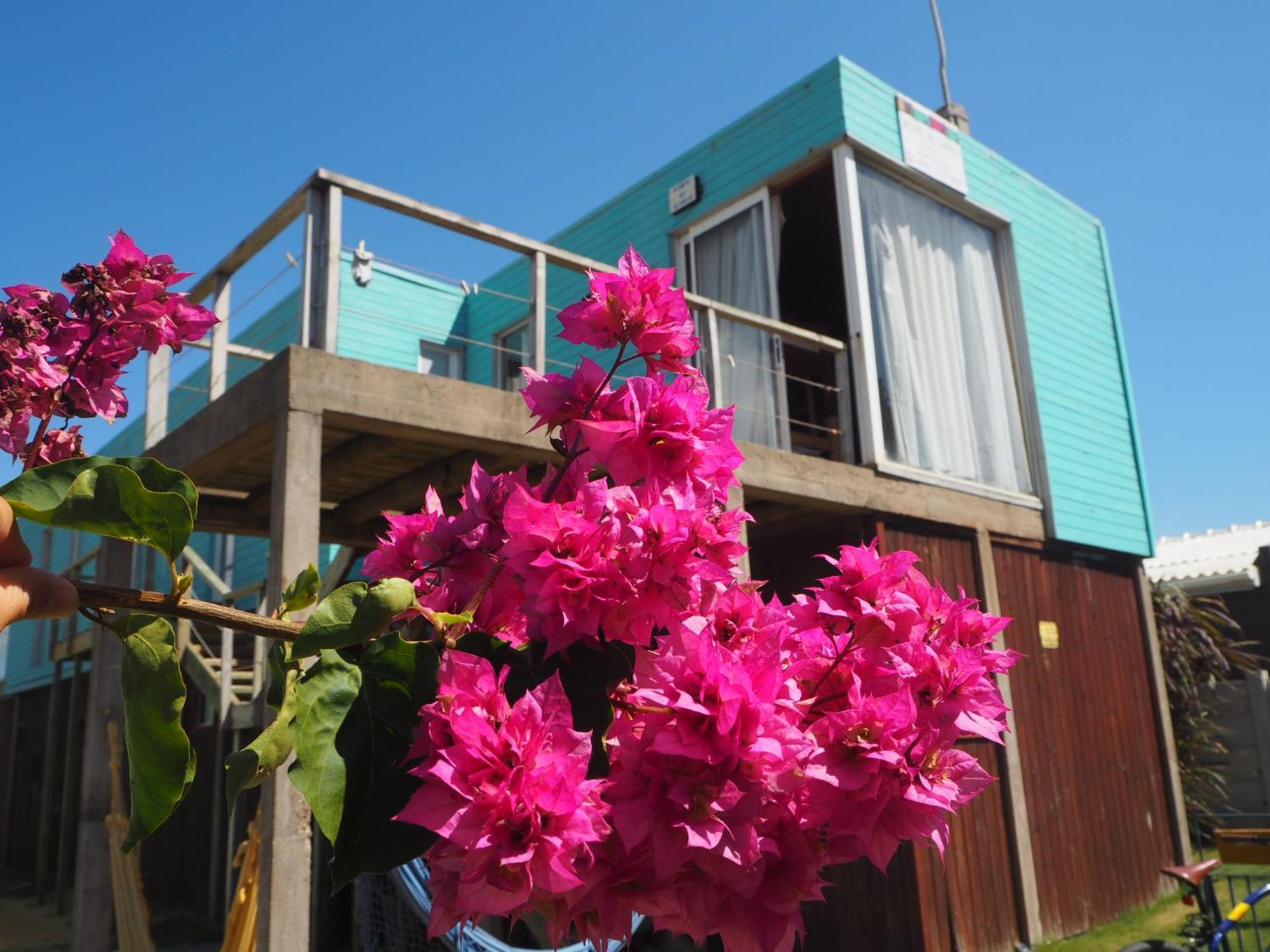 Hostel Vente al Diablo Punta Del Diablo Esterno foto